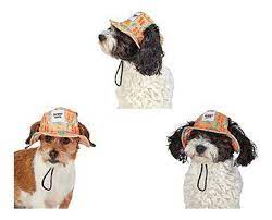 Heart To Tail Pet Hat Aldi Usa Specials Archive
