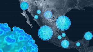 La cdmx continúa como el foco rojo de la pandemia con una ocupación hospitalaria superior al 70%. Mapa Del Coronavirus Mexico Actualizacion En Tiempo Real El Economista