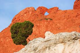Kissing Camels Colorado Springs Kissing Camels Garden Of The Gods Colorado Springs Colorado Visit Colorado Colorado Must See Colorado Attractions