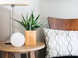 For contrast, they use colorful decorative pillows and black framed we love how this living room pairs bright pink stools with a lucite coffee table. The 10 Best Houseplants For The Bedroom