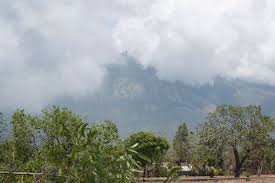 Arief tajalli dan dwi p. Hutan Kawasan Gunung Ciremai Terbakar