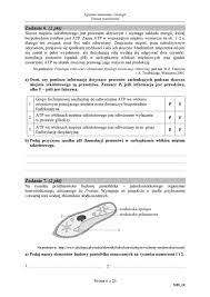 W środę odbył się nieobowiązkowy egzamin maturalny z biologii na poziomie rozszerzonym. Matura Biologia Podstawowa I Rozszerzona 2018 Arkusze Cke Odpowiedzi Zadania Z Biologii Podstawowej I Rozszerzonej 10 05 2018 Gazetakrakowska Pl