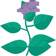 If all you are interested in is living items, you can find a complete list of living items we've found so far, including life, humans, animals and plants and how to make them, here. How To Make Little Alchemy 2 Plant Use Best Little Alchemy Cheats Now