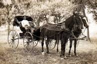 Image result for pre era of motors transport reliant on horses