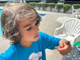 Aimee Peer (@aimee.e.peer) • Instagram photos and videos