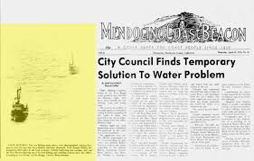 Image result for Yellow 1976 Fleet