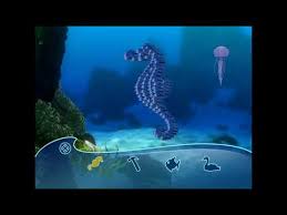 Finding nemo 2003 dvd menu walkthrough (disc 1). Finding Nemo Dvd Menu Walkthrough Disc 2 Youtube
