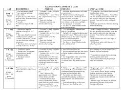 raccoon development chart wildlife conservation mn