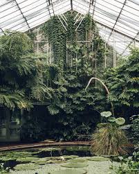 Botanicalgardens Plants Indoor Garden Kew Gardens London