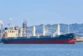 Take a look at my reviews to get a gist of what it looks like to work with me. Salinas General Cargo Ship Details And Current Position Imo 9805324 Mmsi 371518000 Vesselfinder