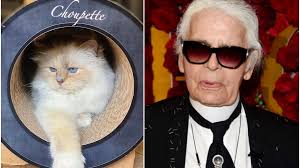 Moștenire de 1,5 milioane de dolari pentru pisica lui Karl Lagerfeld. Cum  trăiește Choupette după
