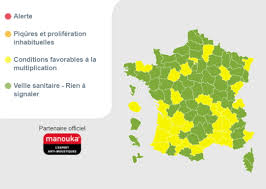 Elle va le plus souvent faire un petit bouton rouge, plus ou moins gros et provoquer des démangeaisons. Piqure De Moustique Carte 2021 Allergie Soulager Creme
