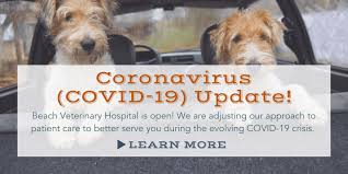 Displayed here are job ads that match your query. Beach Veterinary Hospital Compassionate Affordable Care For Your Pets Since 1967