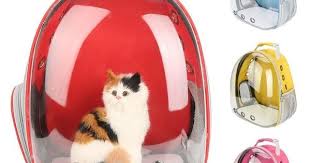 Todo Para Gatos Panosundaki Pin