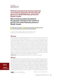 PDF) Efecto de la inoculación de micorrizas arbustivas en la evaluación  agronómica de cuatro tipos de pastos en el cantón Pedernales, provincia de  Manabí, Ecuador