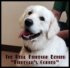 Image result for Pink 1961 Tappan