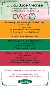 5 Day Juice Cleanse Day 5 Last Day Detox Cleanse With Omega Juicers For A Healthier You Http 5 Day Juice Cleanse Juice Cleanse Juice Cleanse Recipes