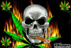 Pin On 4 20