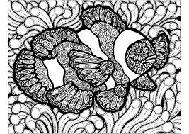 800x532 clown fish coloring page. Lines Of The Clownfish Art Adult Coloring Pages