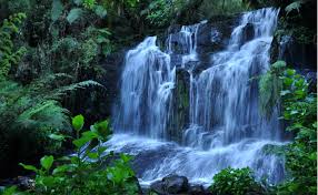 Download free widescreen desktop backgrounds in high quality resolution 1080p. Nature Scenes Wallpapers Top Free Nature Scenes Backgrounds Wallpaperaccess