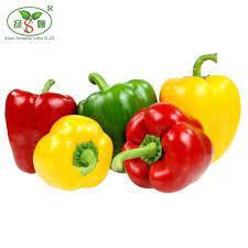 We did not find results for: Colourful Bell Pepper Buy Fresh Cherry Peppers Green Pepper In Brine Red Bell Pepper Product On Alibaba Com