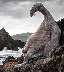 Thala Sirens Were Large Pink Colored Flippered Marine Creatures That Were Found Lying On The Cliffs Of The Sacred Te Star Wars Canon Star Wars Star Wars Poster