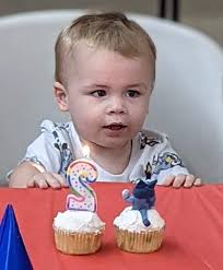 Bluey themed birthday parties for kids