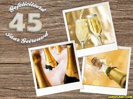 Jakosawi E Cards 45 Jaar Getrouwd Polaroid