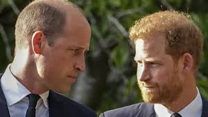 Who was Rosie Roche? Prince William and Harry's cousin, 20, dies at family  home