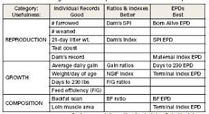 Understanding And Using Performance Data In Swine Judging