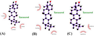 Image result for Tinnea antiscorbutica