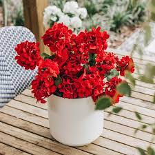 Artificial plants have become a very popular option both indoors and outdoors due to the demand in keeping homes and garden looking their best all year round. Outdoor Artificial Plants Fake Outdoor Plants At Afloral Afloral Com