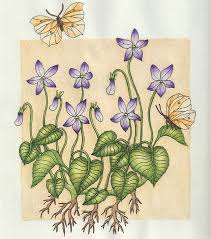 Union cabinet approves assistance of about rs. Nightfall Mariatrolle Schemertijd Coloring Books Artist Books Maria Trolle Nightfall