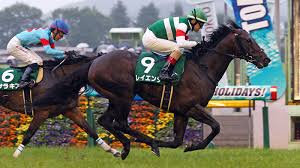 ☆ ディープインパクト産駒(サンデーサイレンス系) は過去5年で3勝。 昨年は1着3着、2015年は1～3着を独占しています。 やはり中心になる血統ですね。 2019å¹´ ã‚¨ãƒ—ã‚½ãƒ ã‚«ãƒƒãƒ— Jra