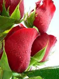 آیا ذکری برای زیبایی چهره وجود دارد