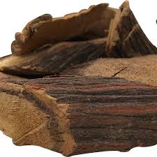 Image result for Ventilago