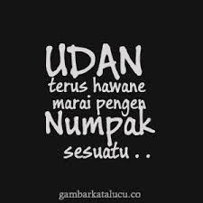 Gambar Dp Bbm Hujan Bahasa Jawa Lucu Meme Lucu Lucu Teks Lucu