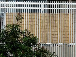 Bambus Als Balkon Sichtschutz Ideen Mit Pflanzen Matten Und Stangen