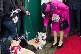 Queen Elizabeth Sie Trauert Um Hund Vulcan Gala De