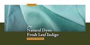 Natural Dyes: Fresh Leaf Indigo