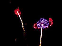 Free Animated Fireworks Gif Images At Best Animations Fireworks Fireworks Animation Fireworks Gif