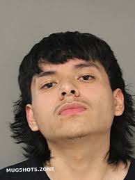 DIEGO VILLEGAS 06/19/2025