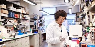 The biotech stock closed 38% higher after regulators approved its. Biogen Surges 42 After Stunning Reversal Sees It Revive Plans For Alzheimer S Treatment Biib Markets Insider