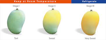 Can you freeze raw mangoes? Savanifarms Mango Ripening Storing