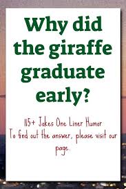 115 Jokes One Liner Humor Clean Funny Jokes Funny Questions One Liner