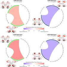 Free shipping on all orders! Pdf Differential Functional Neural Circuitry Behind Autism Subtypes With Marked Imbalance Between Social Communicative And Restricted Repetitive Behavior Symptom Domains