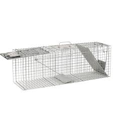 A live trap ideal for wild animals like large raccoons, foxes and cats. Havahart Large 2 Door Live Animal Trap Walmart Com Walmart Com
