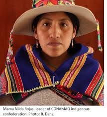 Nilda Rojas's Instagram, Twitter & Facebook