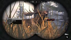 Pro hunts was developed in 2014 in the sports genre by the developer cauldron for the platform windows (pc). Cabela S Big Game Hunter Pro Hunts Wallpapers Video Game Hq Cabela S Big Game Hunter Pro Hunts Pictures 4k Wallpapers 2019