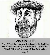 Try the challenging new perception test mode study a series of gorgeous animated images and tap to identify when you think. Optical Illusion Picture Brain Teaser With Answer